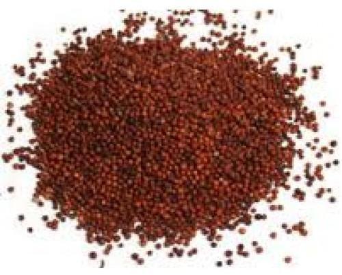 Organic Finger Millet, for Cooking, Color : Red