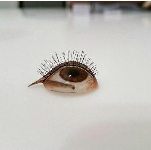 Ocular Prosthesis