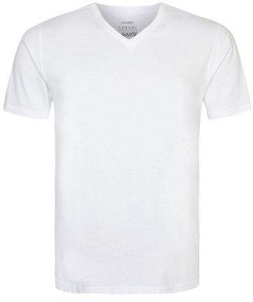 Mens V Neck T Shirt, Size : Multisize