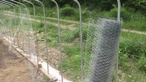 Stainless Steel Chicken Wire Mesh