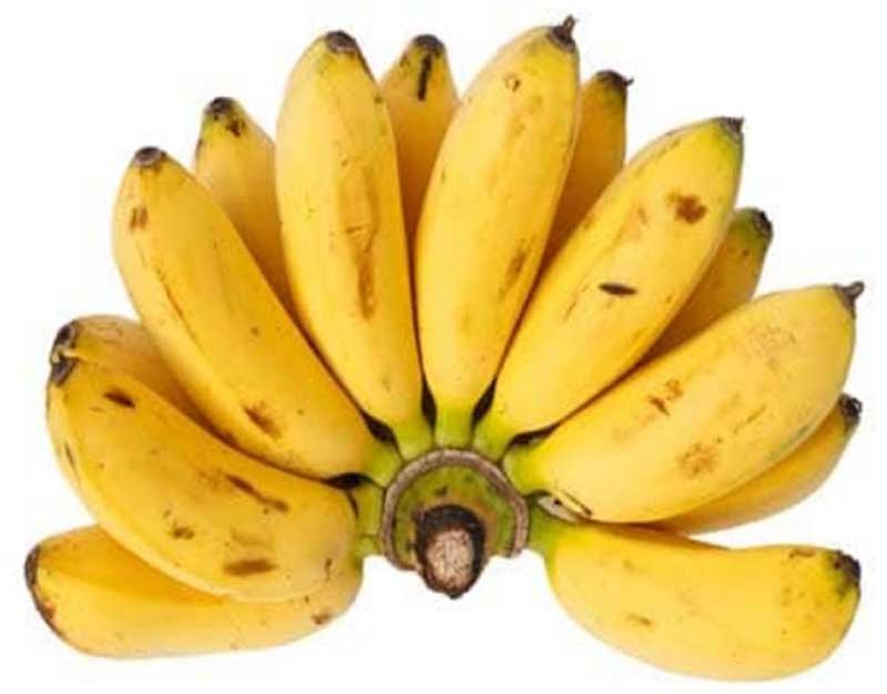 Natural fresh banana, Shelf Life : 15 Days