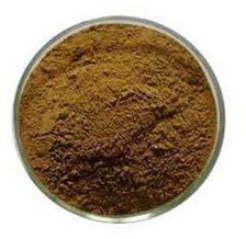 Coleus Forskoli Powder