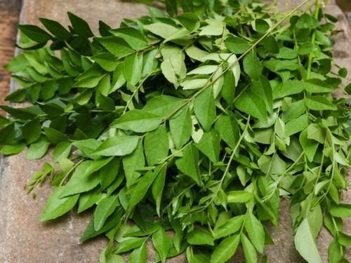 curry leaves