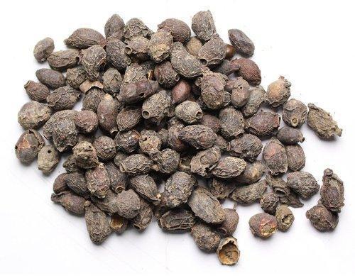 Velan Enterprises Jamun Seeds, Packaging Type : Bag