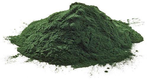 spirulina powder