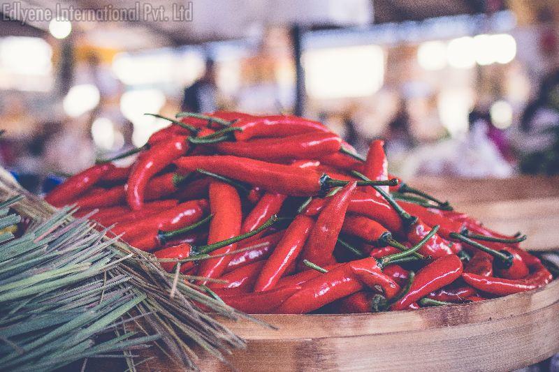 Fresh Red Chilli