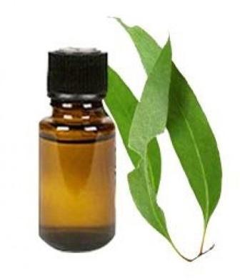 Organic Clove Leaf Oil, Feature : Low Cholestrol, Rich In Vitamin