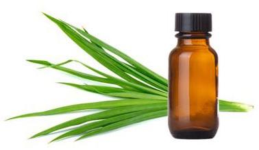 Organic Ginger Grass Oil, for Killing Bacteria, Muscle Pain, Reduce Body Aches, Ward Off Insects