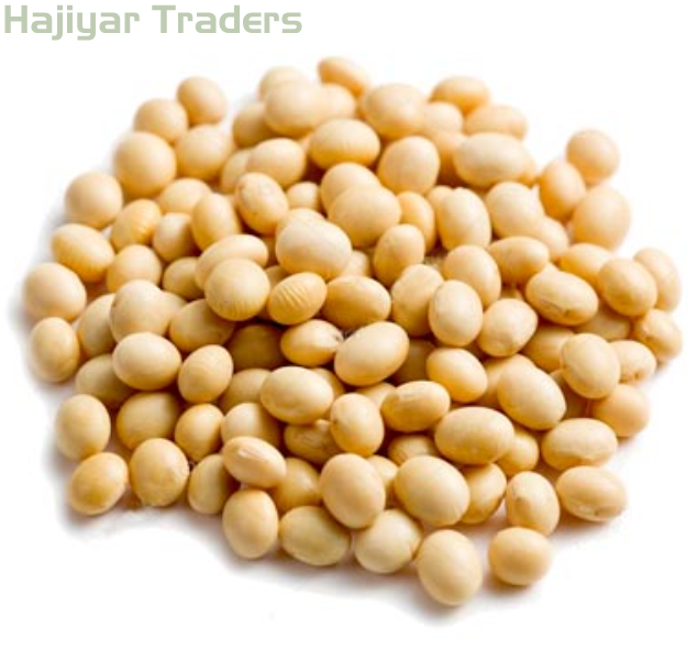 Soybean, Shape Chunks by Hajiyar Traders from Dindigul Tamil Nadu