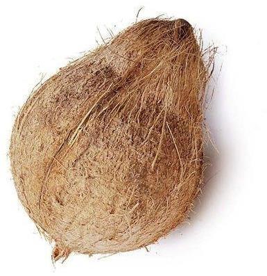 Semi Husked coconut, Coconut Size : Medium