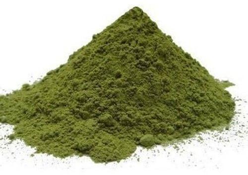 Dehydrated Kasuri Methi Powder