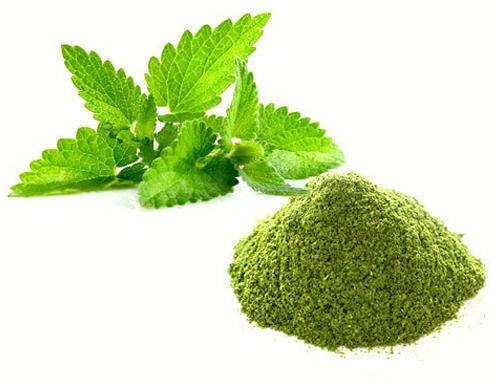 Dehydrated Mint Leaves Powder