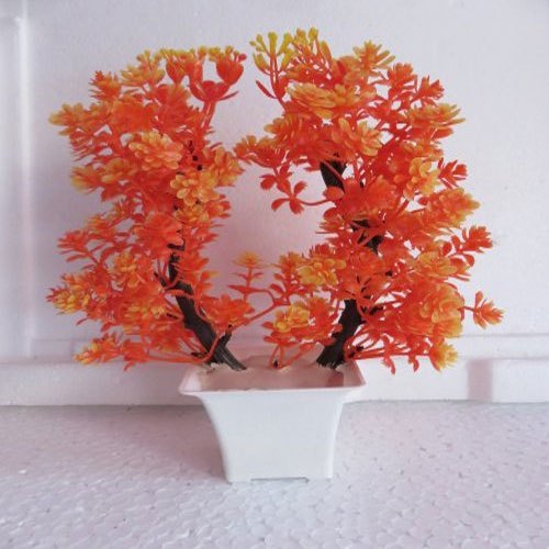 Orange Maple Tree Bonsai