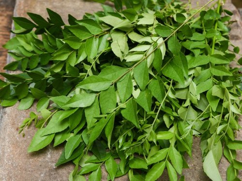 Raw Natural Fresh Curry Leaves, for Cooking, Spices, Food Medicine, Cosmetics, Certification : FSSAI Certified