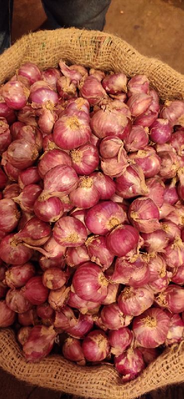 Oval Organic Fresh Shallot Onion, for Cooking, Color : Light Pink