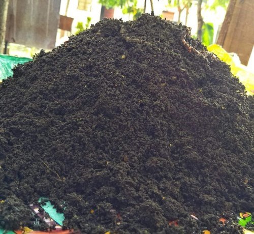 Bio Tech Grade Vermicompost Powder, for Agriculture, Color : Black