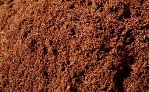 Organic Fertilizer Manure, for Agriculture, Color : Brown