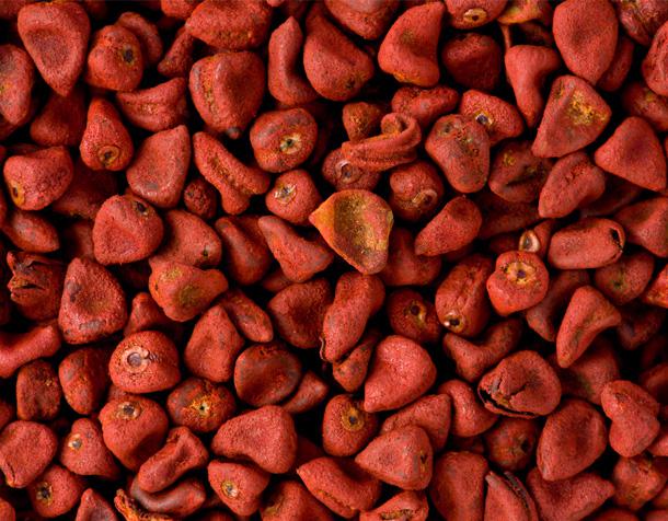 Annatto Seed, for Agriculture, Style : Dried, Natural