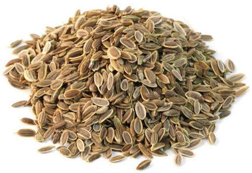 Dill Seeds