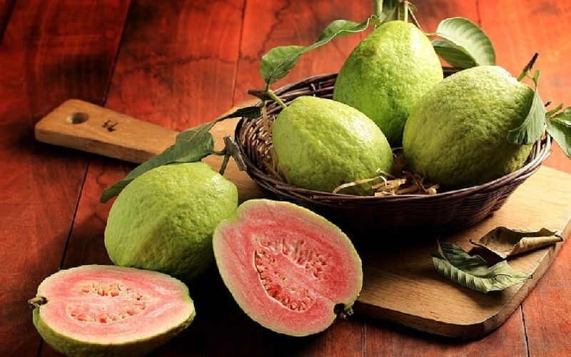 Organic Guava, for Food Medicine, Human Consumption, Color : Green