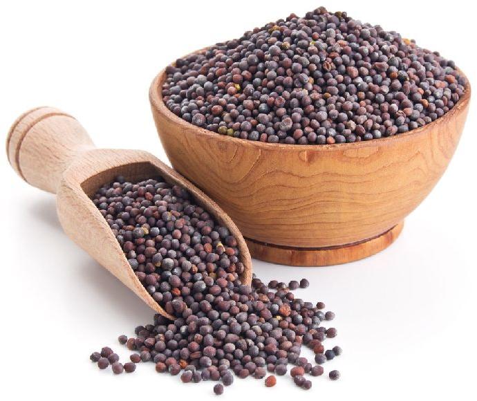 Organic mustard seed, for Spices, Color : Light Brown