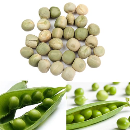 Natural Pea Seeds, for Agriculture, Style : Dried