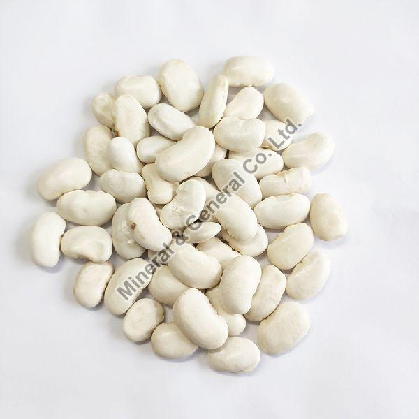 WHITE KIDNEY BEANS, Cultivation Type Common, Organic, INR 500INR 550