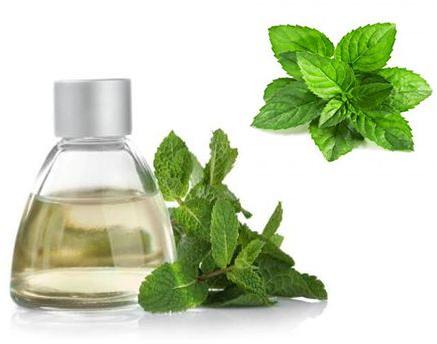 Chinese Peppermint Essential Oil, for Fever, Infections, Stomach Issue, Feature : Good Quality, Mental Fatigue