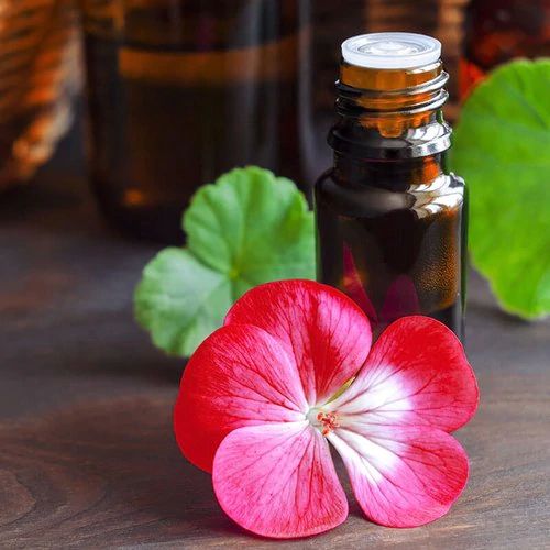 Egyptian Geranium Essential Oil, for Aromatherapy, Medicine Use, Feature : Anti-Wrinkle, Blemish Clearing