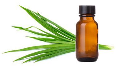 Gingergrass Essential Oil