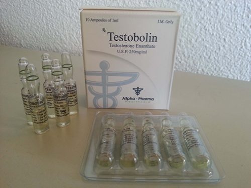 Testosterone enanthate 250mg/ml alpha pharma