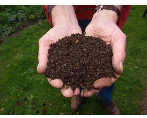 Desi Cow Vermicompost, Purity : 100%