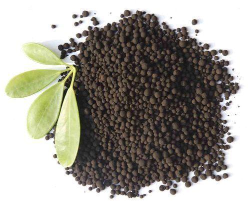 Gibberellic Acid Fertilizer