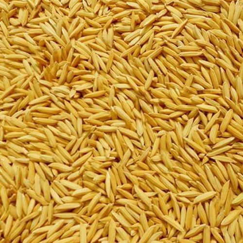 Organic Paddy Seeds, for Agriculture, Certification : FSSAI Certified