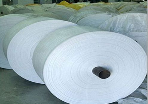 Plain Polypropylene Woven Fabric Roll-110GSM, Density : High Density