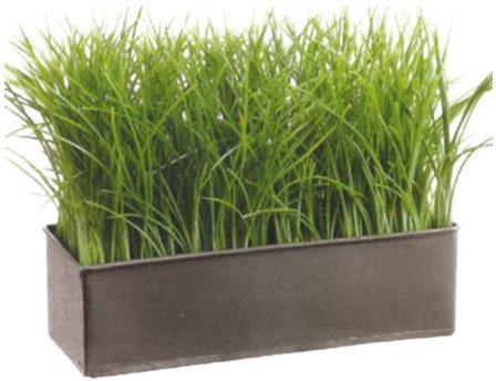 Plastic Decorative Artificial Grass, Color : Green