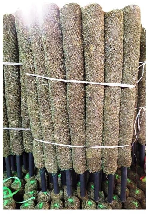 Round 2 Feet Moss Stick, for Farming, Color : Green