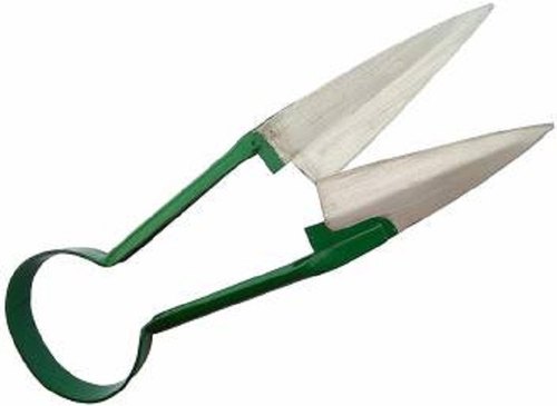 Iron Grass Scissor, Size : 8 Inch