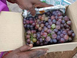 Natural grapes, for Human Consumption, Packaging Type : Paper Box