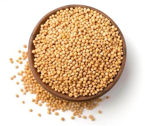 Poorti Masale Natural yellow mustard seeds, for Cooking, Specialities : Long Shelf Life