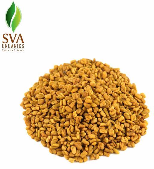 Fenugreek Extract