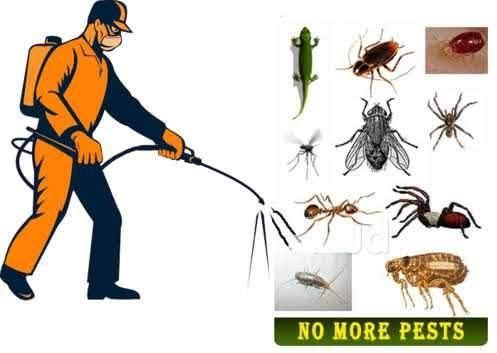Pest control services in Kolkata