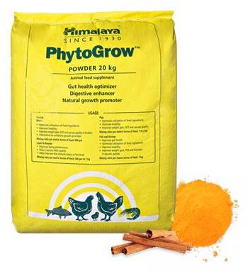 PhytoGrow Powder