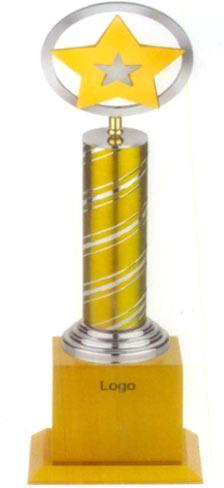 Corporate Metal Trophy