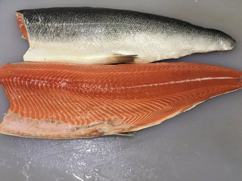 Norwegian Atlantic Salmon Fillet