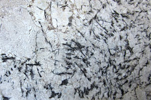 alaska white granite slab