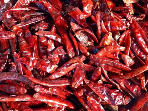 Dabbi Stemless Dried Red Chilli, for Cooking, Length : 8 cm