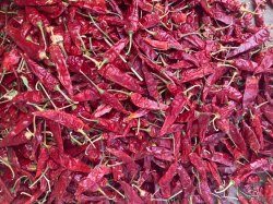 Guntur Natural Dried Red Chilli, for Cooking