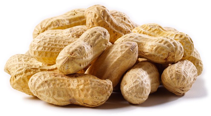 Organic Shelled Peanuts, Packaging Size : 25-50kg
