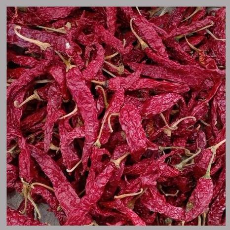 Syngenta Dried Red Chilli